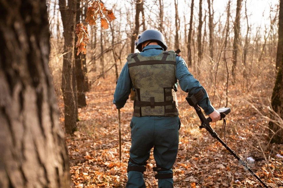 Два человека пострадали на пожарах в ЛНР за сутки. ФОТО: МЧС России