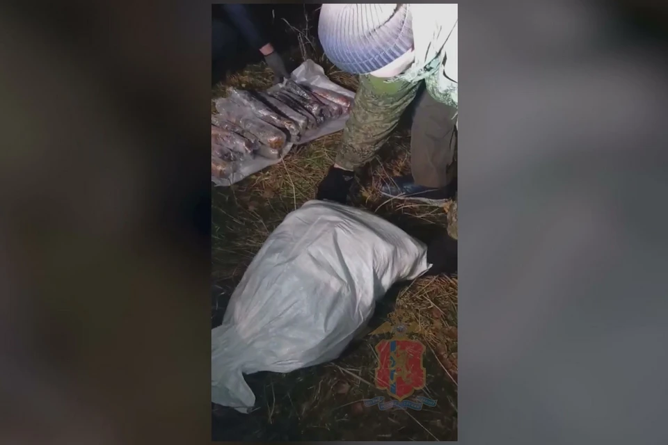 В Красноярском крае полиция изъяли пойманных осетров и партию черной икры. Фото: МВД