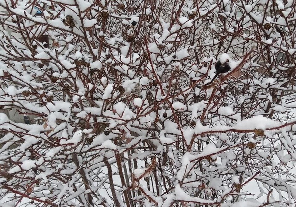 Погода на Ямале с 27 октября по 2 ноября