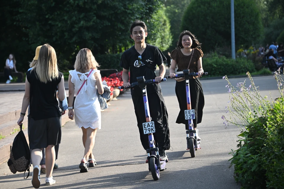 Ввести дополнительные ограничения для пользователей СИМ предложил лидер ЛДПР Леонид Слуцкий