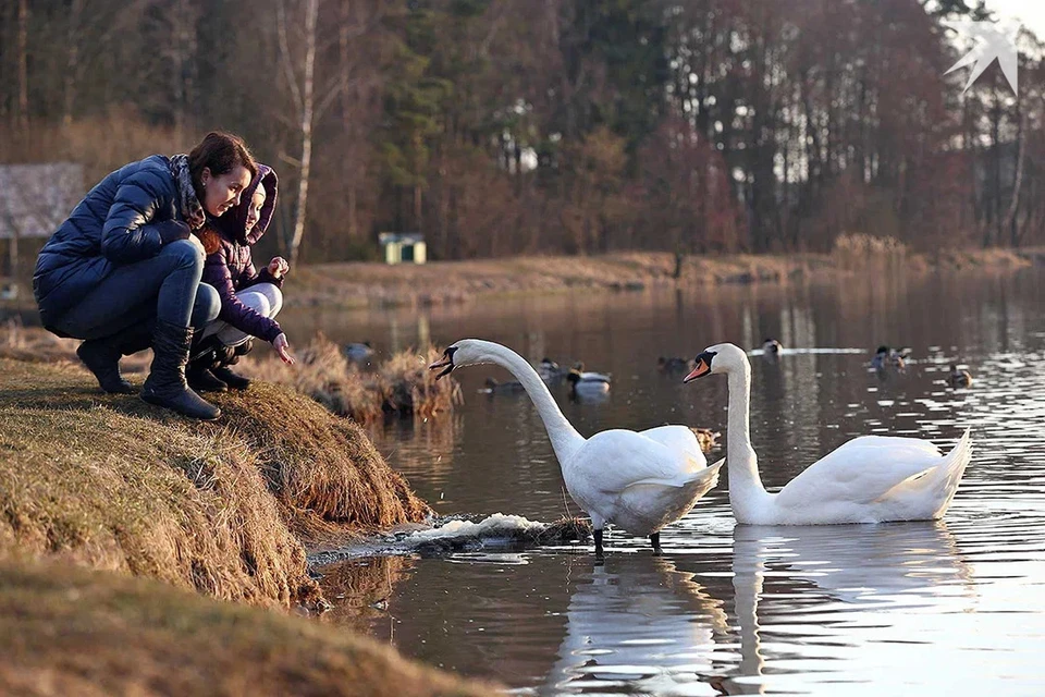 Большие выходные ждут белорусов в ноябре 2025. Снимок носит иллюстративный характер.