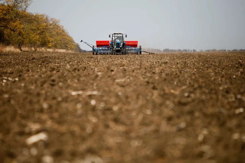 В Крыму успешно выполнили половину посевной кампании озимых культур.