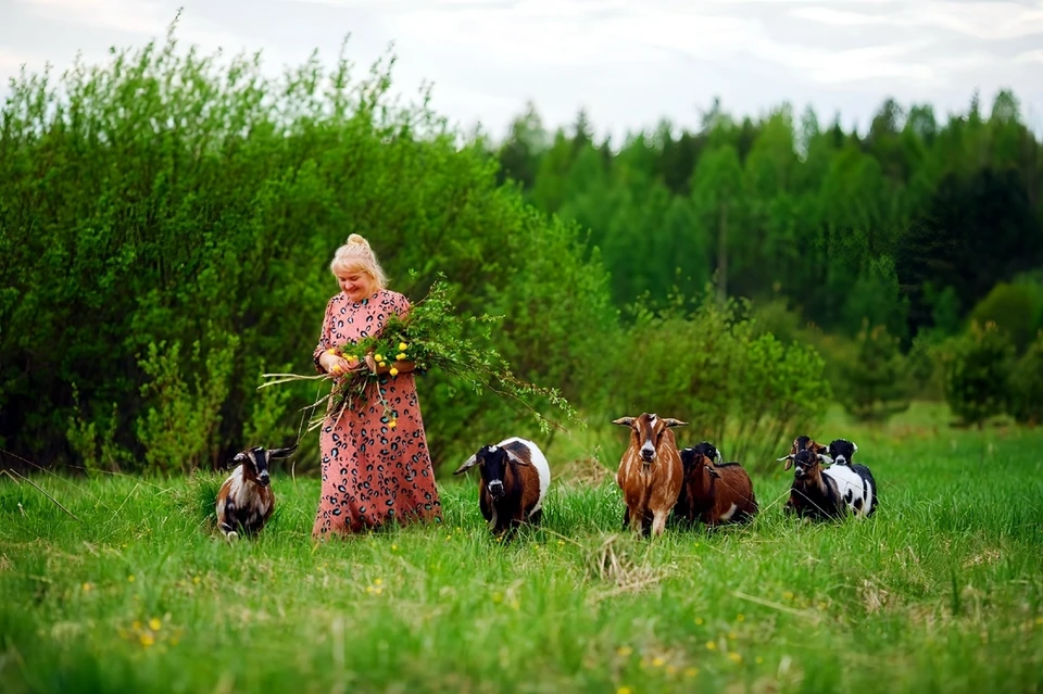 Получив соцконтракт, улучшить финансовое положение смогли более 800 жителей Коми. Среди них – Татьяна Токарчук из Корткеросского района.