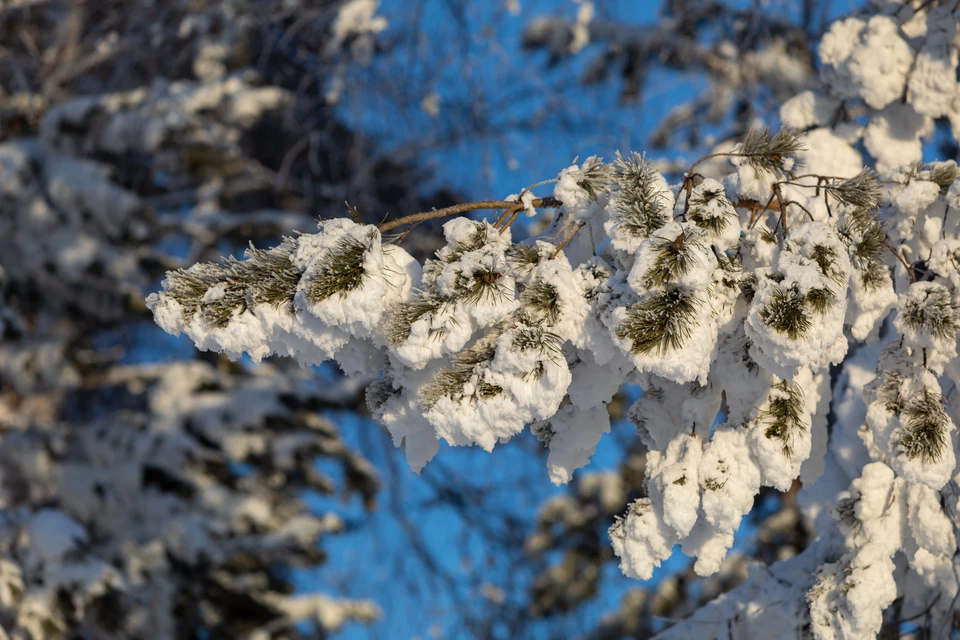 В центре Приморья 28 октября ожидается небольшой снег