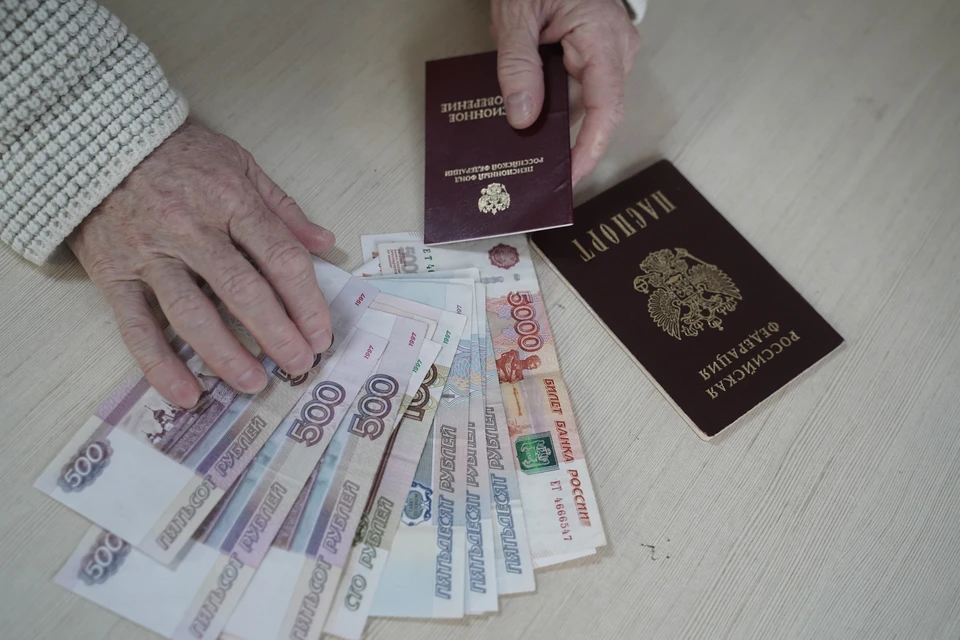 Россиянам раскрыли размер пенсии для неработающих пенсионеров в 2026 году