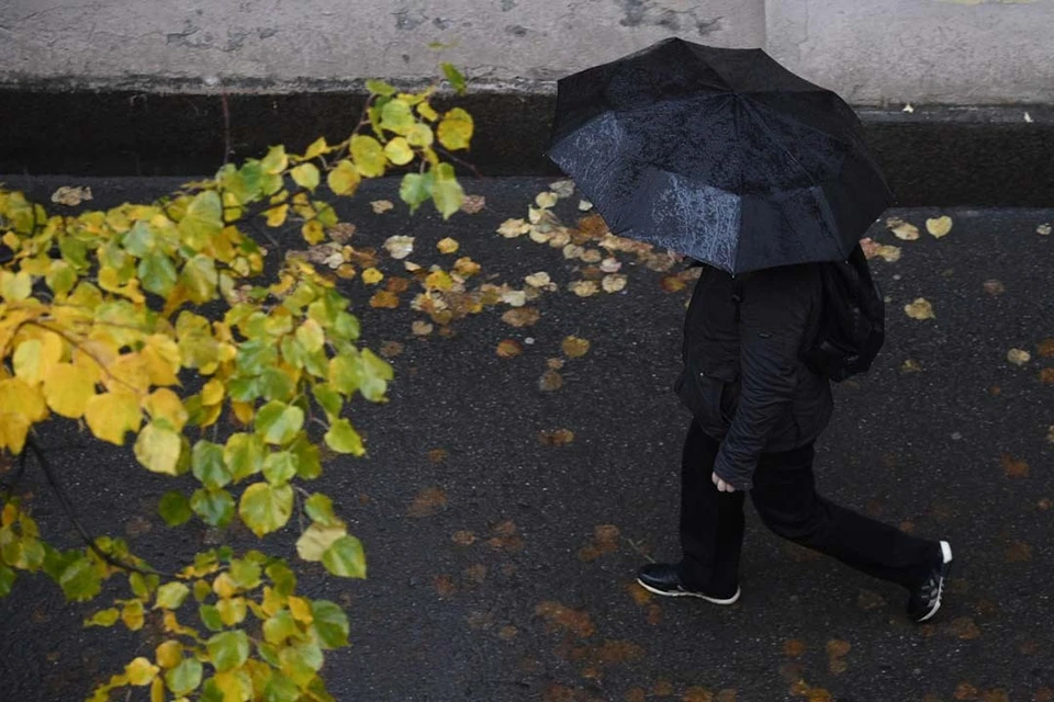 Воздух прогреется до +9 градусов.