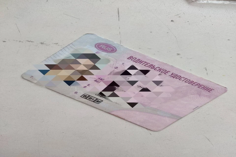 Новосибирца лишили прав за пьяную езду. Фото: A. Petrova, Управление Судебного департамента в Новосибирской области