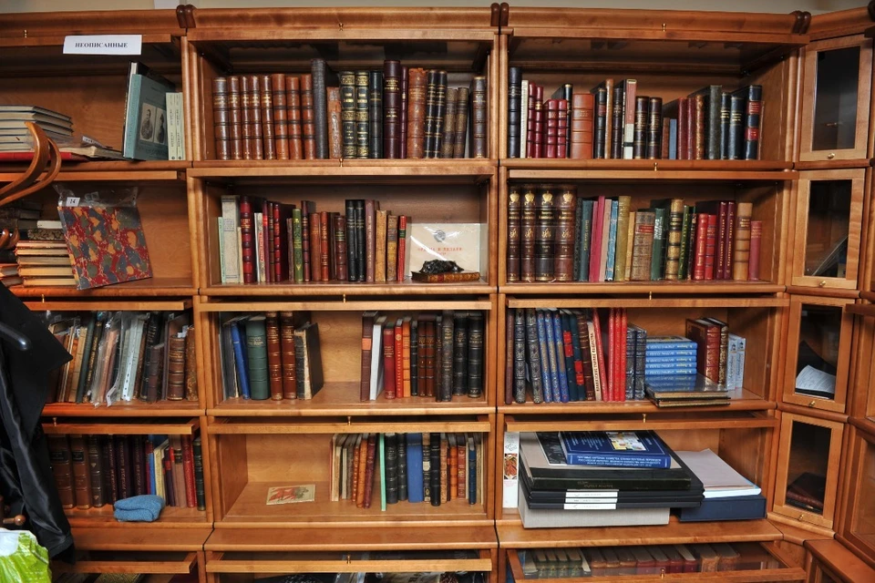 В Новосибирске издано первое в России пособие по педагогике впечатлений.