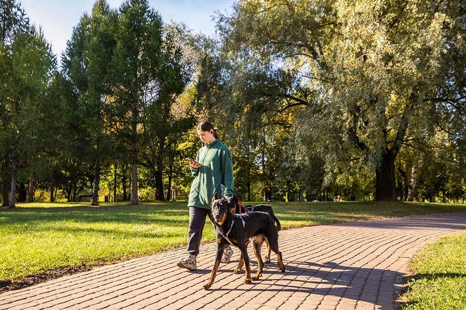 Мобильный Интернет и связь работают штатно.