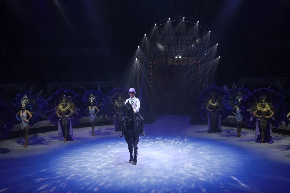В Донецке состоялась премьера циркового шоу династии Запашных. Фото: Минкультуры ДНР