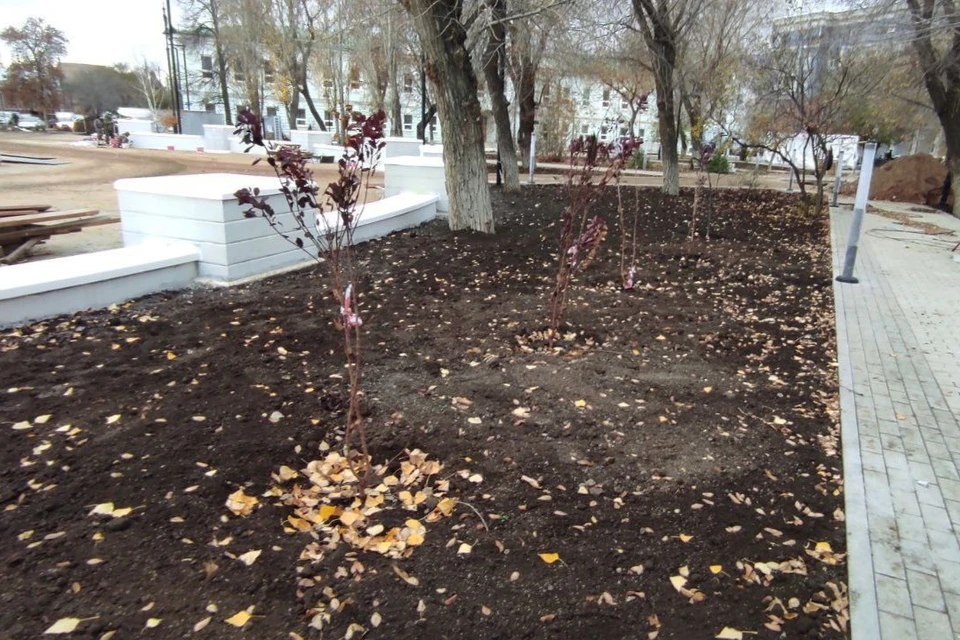 Сейчас специалисты производят отсыпку и выравнивание чернозема под посев газона