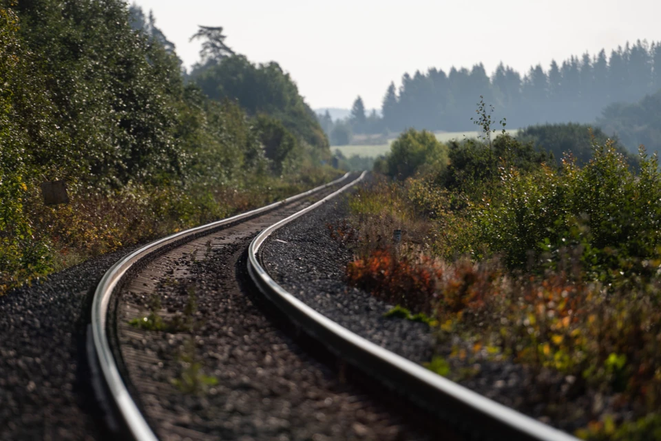 Пострадавшего отвезли в больницу в Ломоносов.