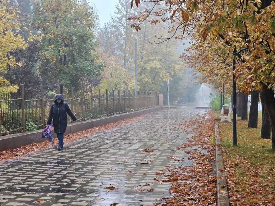Осень в Волгограде.