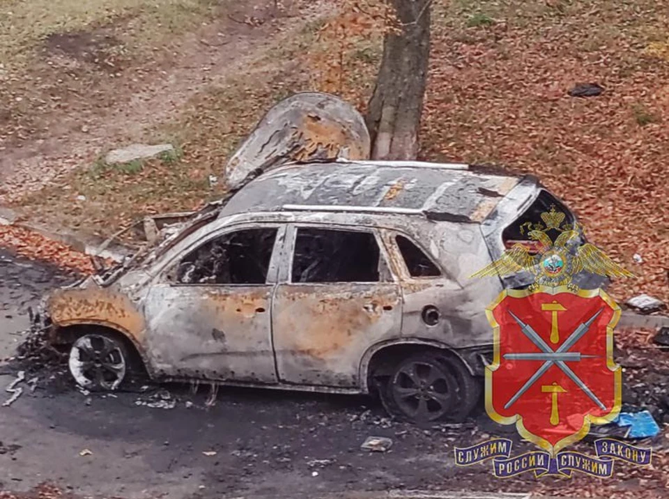 В Новомосковске задержали мужчину, поджегшего иномарку из-за обиды на владельца.