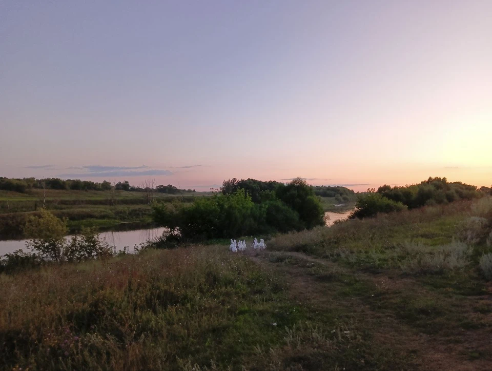 После вмешательства прокуратуры свалку ликвидировали.