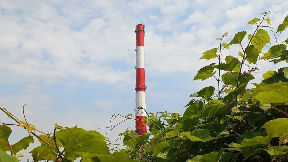 Фото: «Калининградтеплосеть».