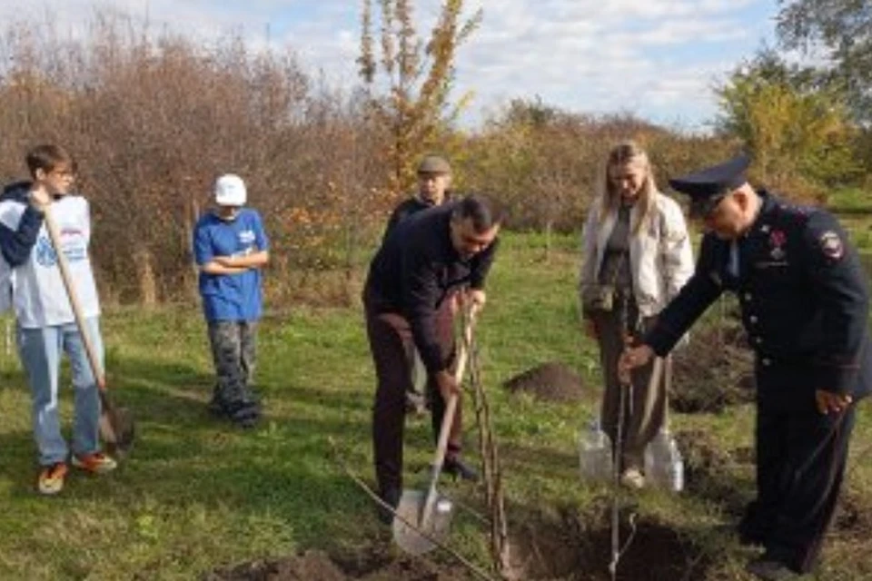 Жители донской столицы высадили павловнии, яблони, липы и вишни. Фото: пресс-служба регионального отделения партии «Единая Россия»