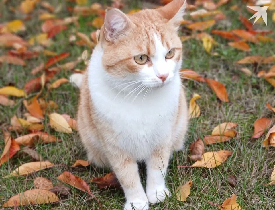 Молдову еще ждут теплые дни. Фото: КП