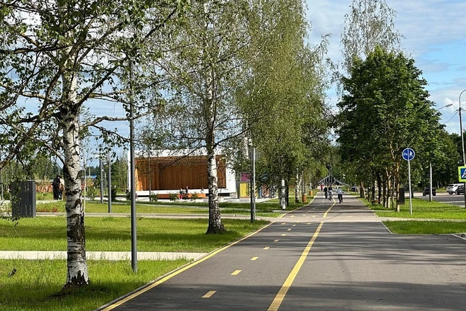 Правительство решает, как правильно распределить средства. Фото: ПТО