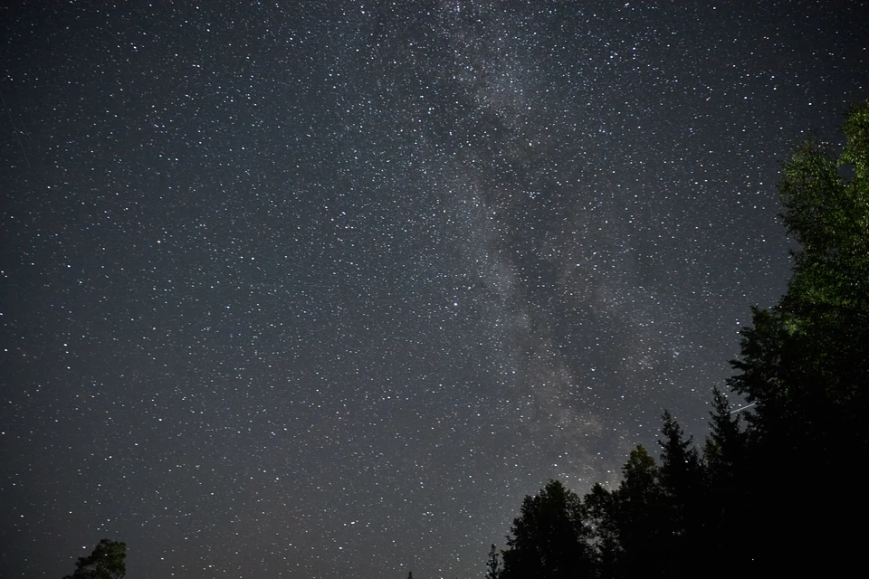 Новосибирцы смогут увидеть звездопад Леониды в середине ноября.