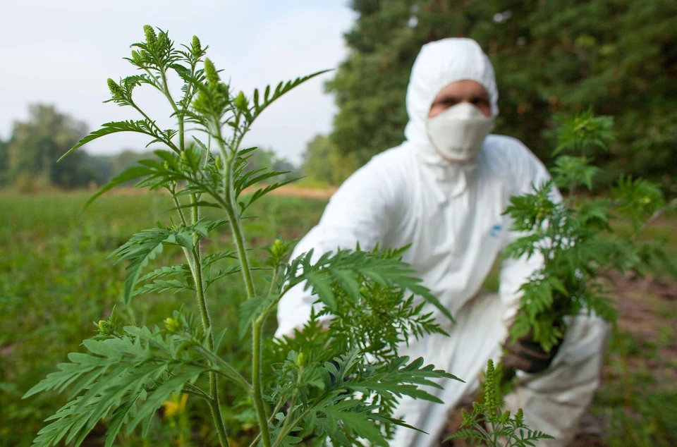 Завершен большой комплекс мероприятий. Фото: администрация Ессентуков