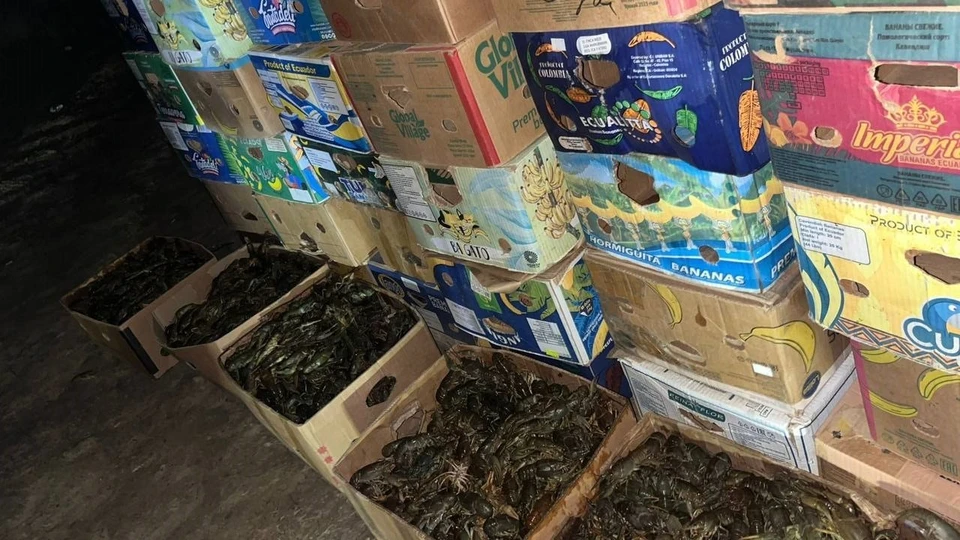 Фото: УМВД России по Астраханской области