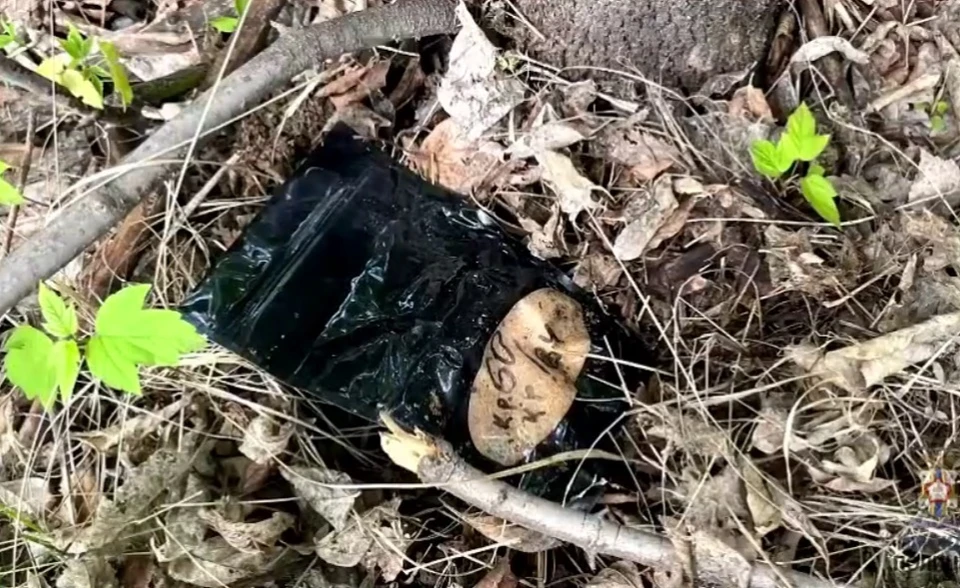 Фото: УМВД России по Омской области