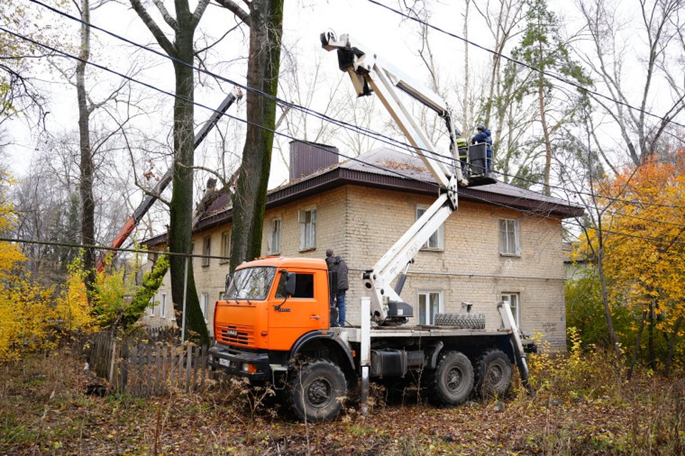 Администрация города помогла с уборкой аварийного дерева. Фото: администрация Ульяновска