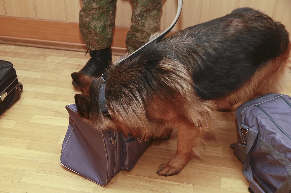 Прибор нашли и изъяли