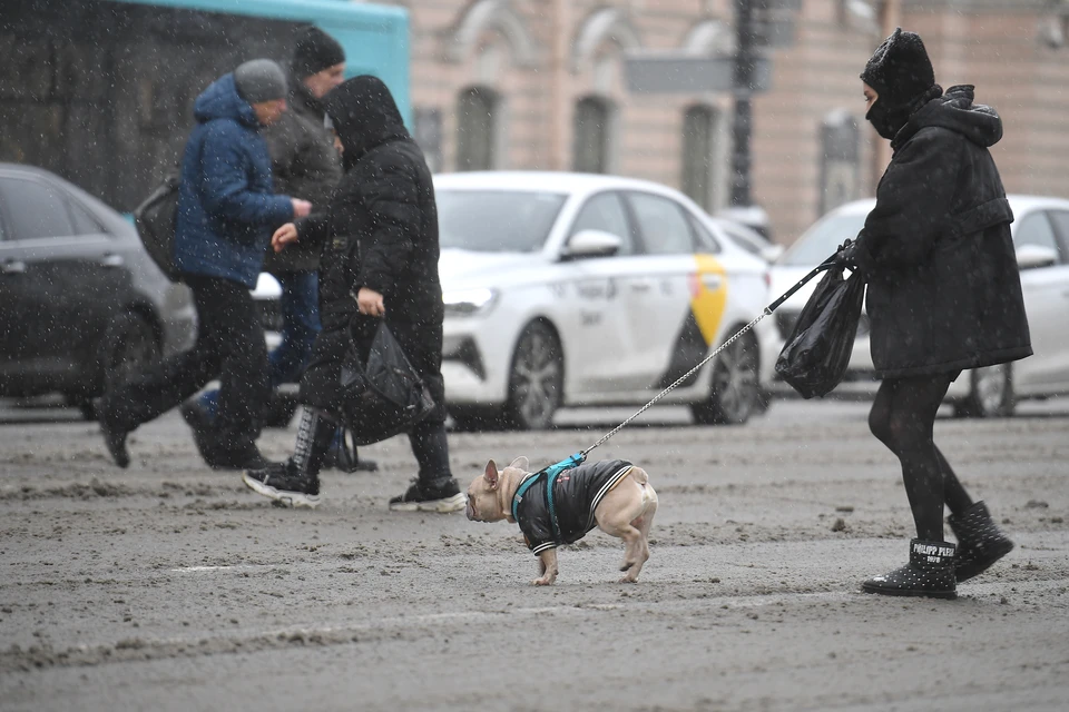Осень уже не радует жителей Приморья теплой погодой.
