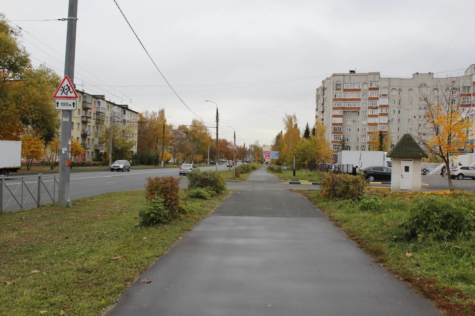 Здесь должна была появиться Аллея энергетиков. Фото со страницы МКУ "Зеленый город" в ВК.
