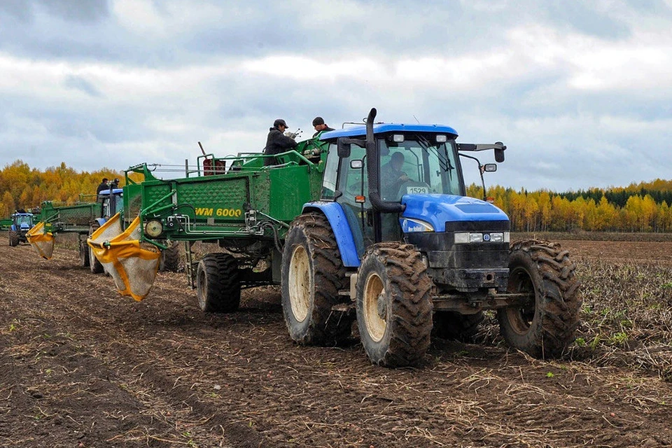 В Тверской области завершается уборочная кампания.