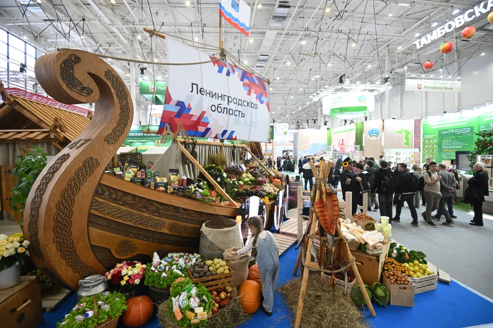 Ладья из Ленинградской области стала «гвоздем» программы и свидетельством: регион уверенно выходит из зоны рискованного земледелия».