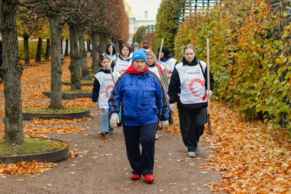 Волонтеры вышли на субботник в саду Петергофа. Фото: Шамиль Трояновский.