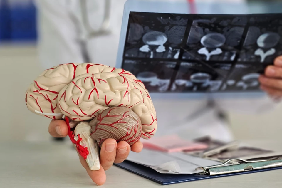 Россиян старше 40-45 лет призвали регулярно проходить профилактические обследования