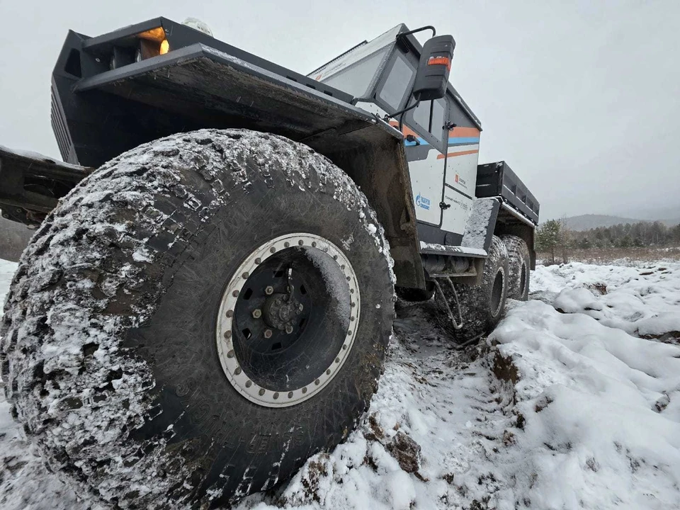 Фото предоставлено «КП» Алексеем Усольцевым