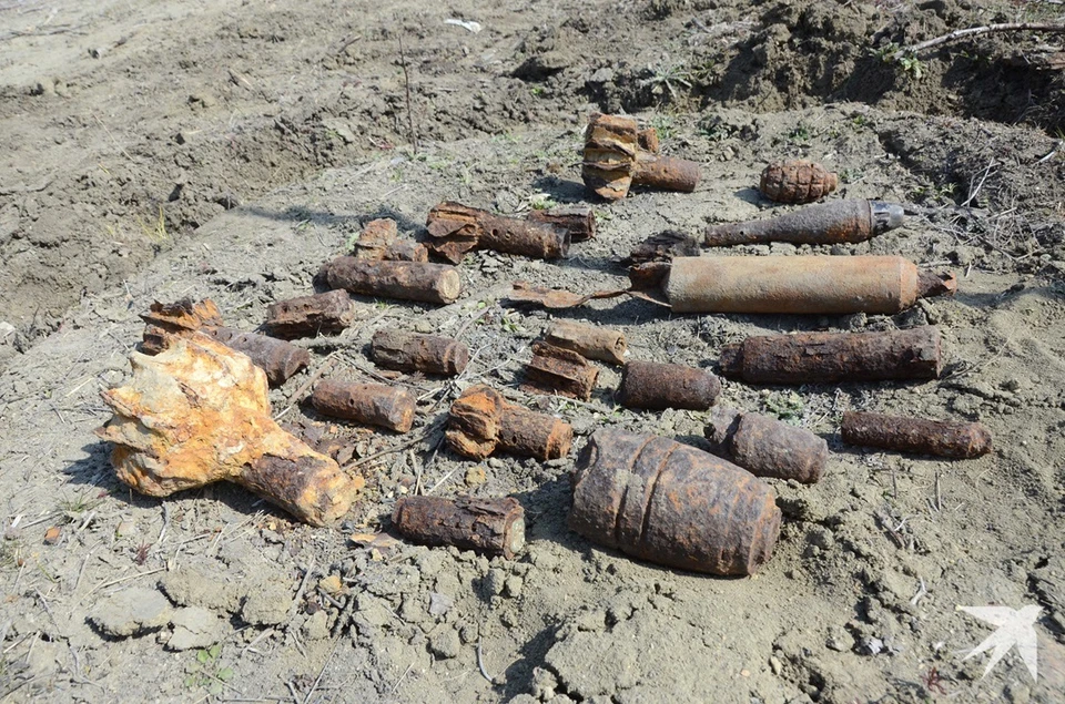 Схрон артиллерийских снарядов обнаружили в Академическом. Фото из архива "КП"