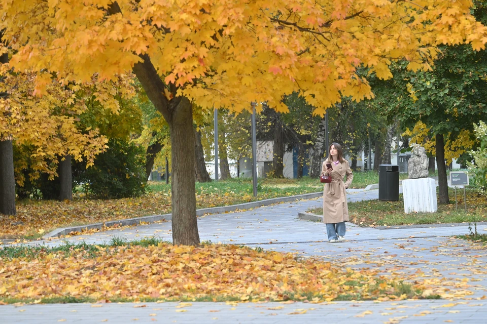 Кировская область может потерять более 30 тысяч жителей.