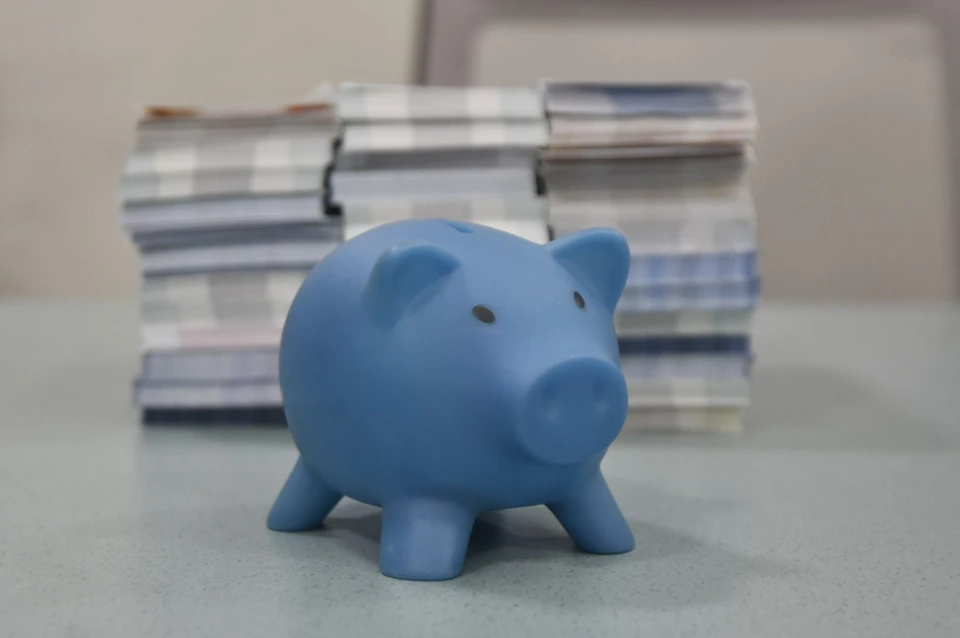 Главный финансовый документ предусматривает значительные шаги по развитию региона.