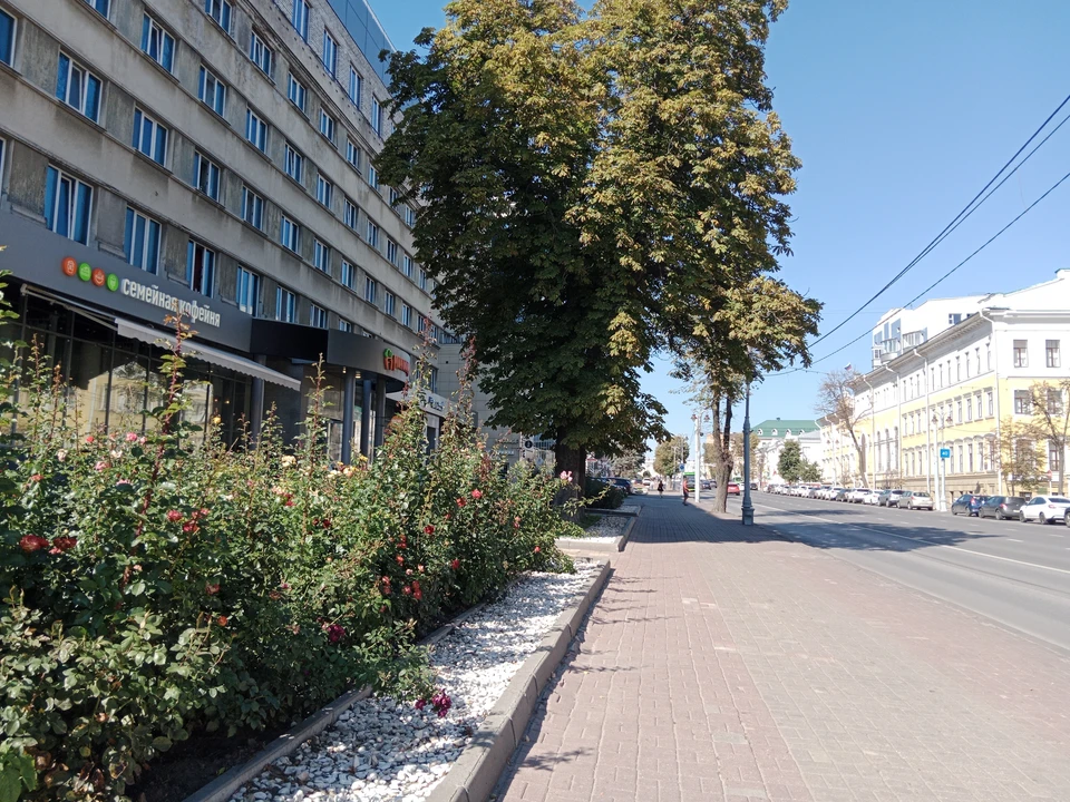 Слушания пройдут в ноябре