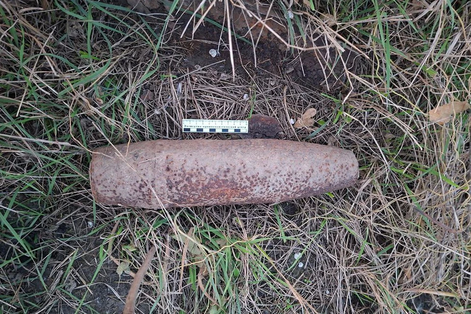 Рыбаки нашли снаряд времен войны в рисовом чеке Фото: пресс-служба ГУ Росгвардии по Краснодарскому краю