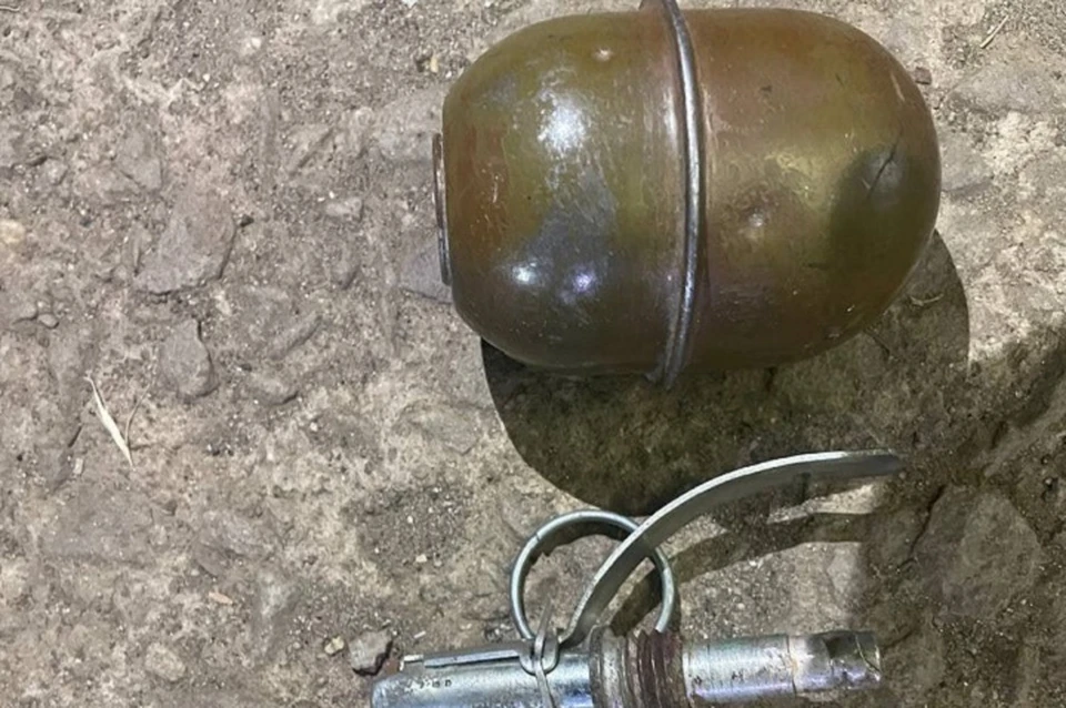 Экспертиза подтвердила, что изъятый предмет - это ручная осколочная граната. Фото (архив): МВД по ДНР