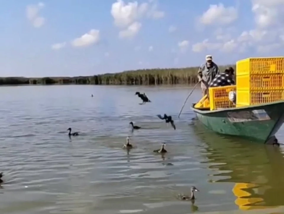 Мероприятие проводилось в рамках государственной программы «Охрана окружающей среды в Астраханской области»