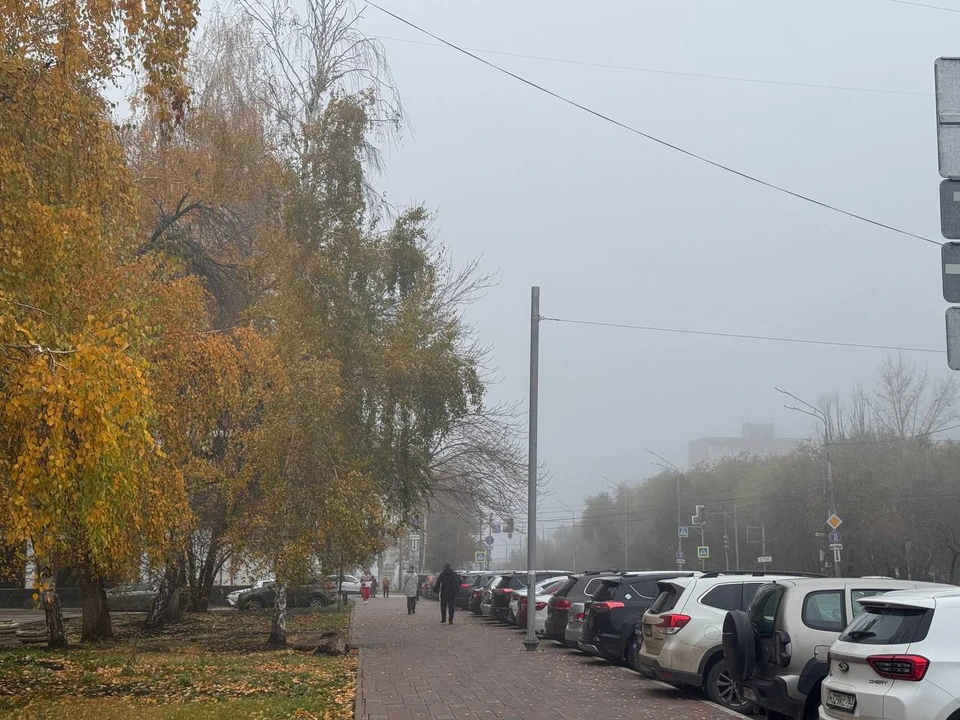 Местных жителей предупредили о плохой видимости.