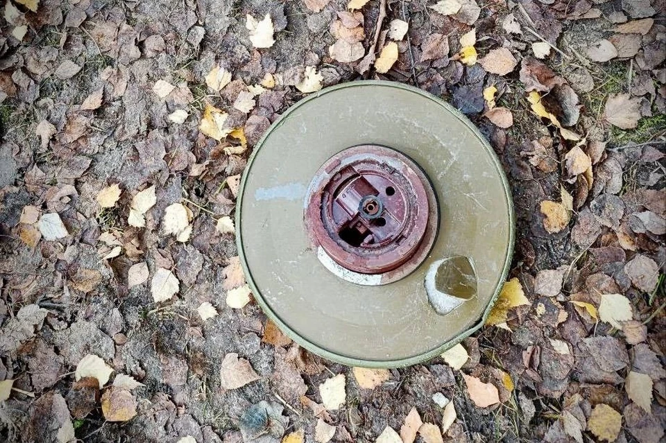 Фото: Управление Росгвардии по Костромской области