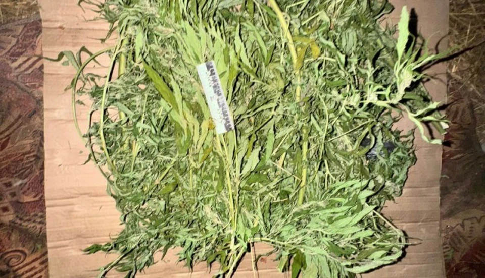 Фото пресс-службы региональной полиции.