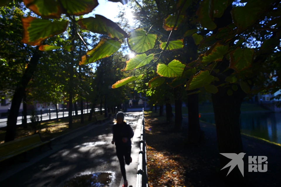 Рязанцев ожидает потепление в первые дни ноября