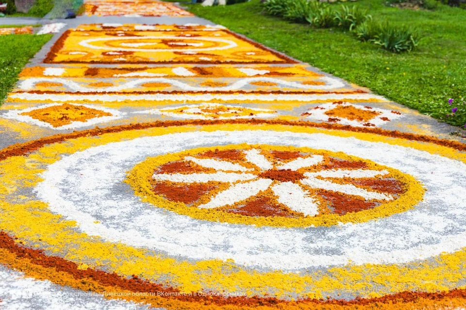 Фото пресс-службы правительства Липецкой области.