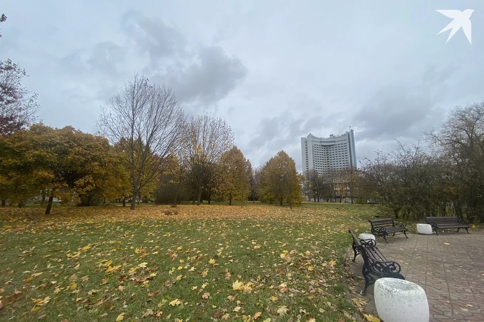 Узнали приметы и запреты на 31 октября, когда вспоминают апостола Луку. Снимок носит иллюстративный характер. Фото: архив «КП»