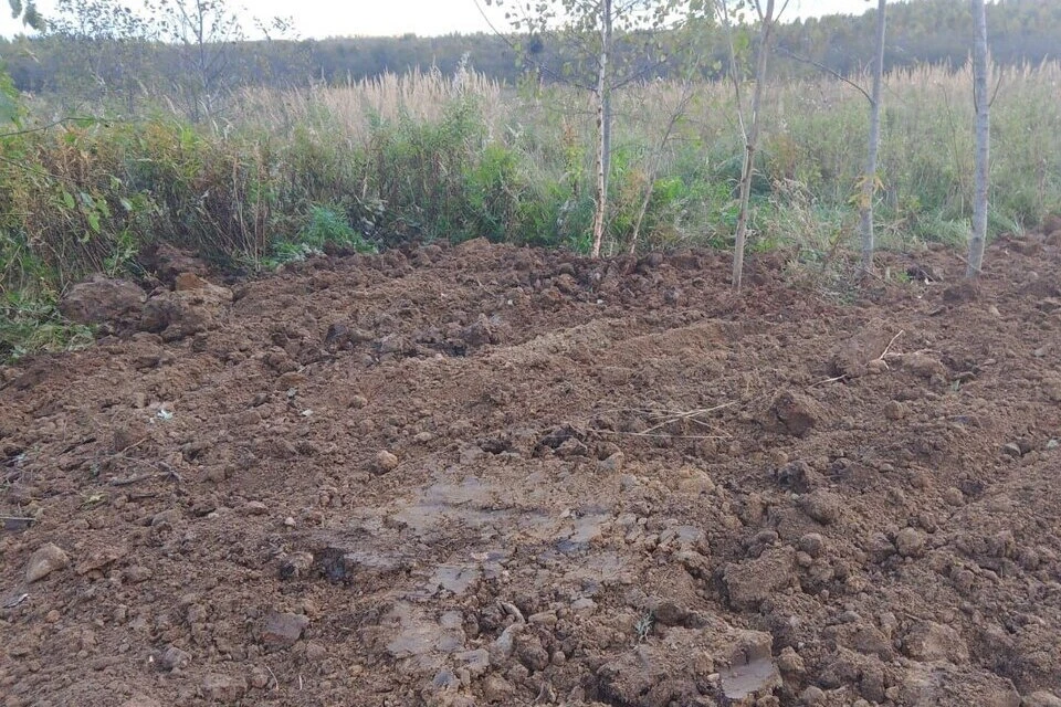 Ведомство выдало предписание собственнику земли. Фото: Управление Россельхознадзора по Тверской и Ярославской областям.